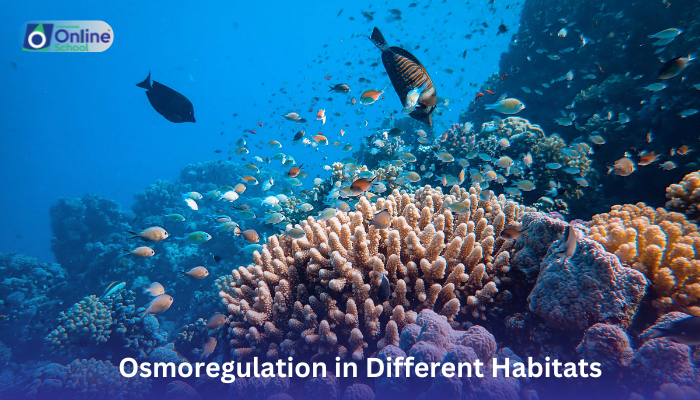 Lesson 06: Osmoregulation in Different Habitats